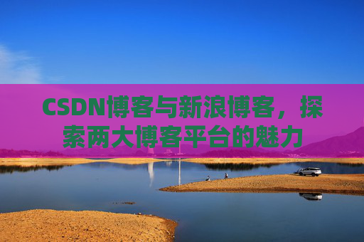 CSDN博客与新浪博客，探索两大博客平台的魅力